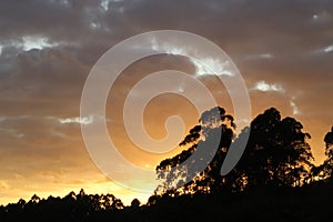 Sunset in the swidden, in the city of Coimbra in the interior of the state of Minas Gerais, with clouds, vegetation and sunlight