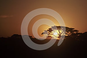 Sunset, Tanzania