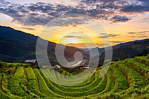 Sunset on terraced rice fields in Mu Cang Chai, Lao Cai province, Vietnam