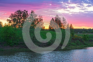 Sunset time with big tree