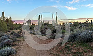 Sunset Time On A Desert Hiking Trail In Scottsdale Arizona