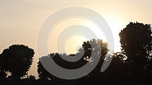 Sunset time laps view from behind the silhouette trees