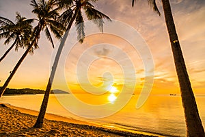 At sunset time on the tropical beach and sea with coconut palm t
