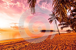 At sunset time on the tropical beach and sea with coconut palm t