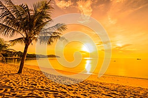 At sunset time on the tropical beach and sea with coconut palm tree