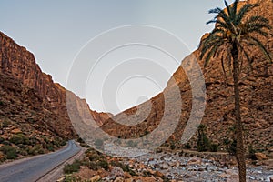 Sunset in Todra gorge in Morocco, palm tree in the foreground