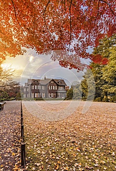 Sunset on Tokyo Metropolitan Park KyuFurukawa`s old western-style mansion at red maple momiji leaves season in autumn