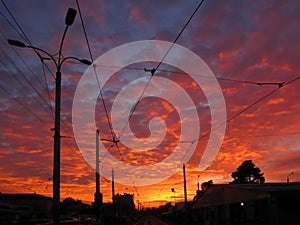 Sunset tomorrow. Black street lanterns and tramway photo