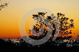 Sunset, Torrey Pines State Park, California