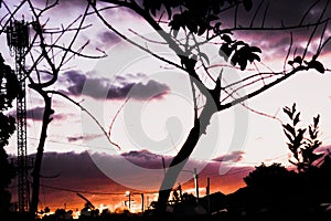 Sunset tree branches darkness sky silhouette cloud dusk branch evening art nimbus