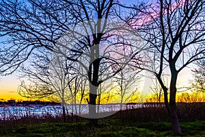 Sunset through a tree in Calvert Vaux Park