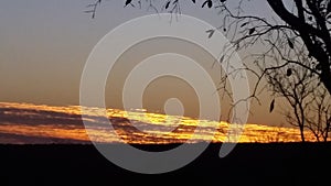 Sunset tree clowds bushveld beauty photo