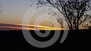 Sunset tree clowds bushveld beauty