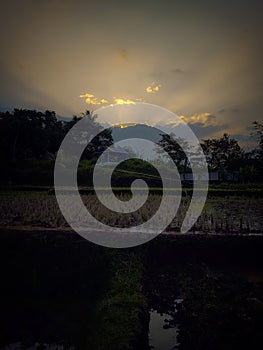 Sunset tree light rol sky