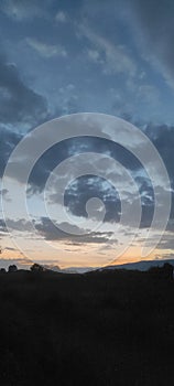 Sunset tree sky light cloud nature