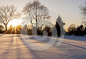 Sunset Through the Trees