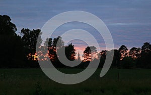 Sunset through the trees