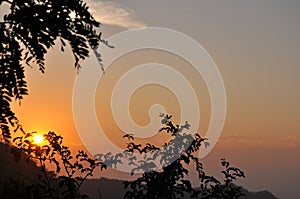 Sunset through trees