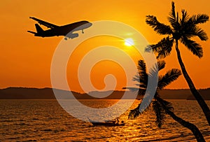 Západ slunce na tropický pláž a kokos palma stromy silueta letadlo létání přes 