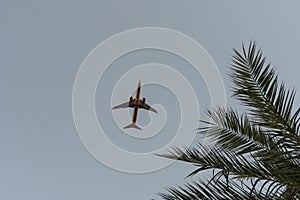 sunset on tropical beach with coconut palm trees during silhouette airplane flying take off over