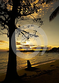 Sunset in tropical beach of Sainte Anne - Guadeloupe tropical island