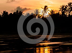 Sunset on tropical coast with palms