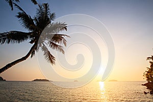 Sunset on the tropical coast with silhouettes of palm tree over water. Nature.