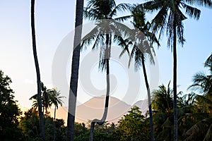 Sunset on tropical island. Coco palm trees and distant mountain in evening sunlight. Romantic place for wedding