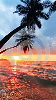 Sunset tropical island sea beach, ocean sunrise landscape, palm tree, yellow sun, water, orange, red, pink sky, summer holidays