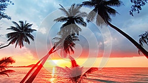 Sunset tropical island sea beach, ocean sunrise landscape, palm tree, yellow sun, water, orange, red, pink sky, summer holidays