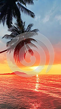 Sunset tropical island sea beach, ocean sunrise landscape, palm tree, yellow sun, water, orange, red, pink sky, summer holidays