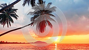 Sunset tropical island sea beach, ocean sunrise landscape, palm tree, yellow sun, water, orange, red, pink sky, summer holidays