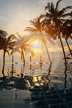 Sunset on a tropical resort beach with silhouettes of palm trees. Nature.