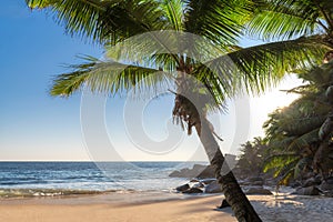 Sunset at tropical sandy beach with coco palms and turquoise sea