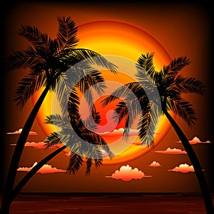 Sunset Tropical Seascape with Palm Trees vector Illustration