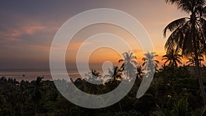 Sunset tropical time lapse with palm trees and colored sky