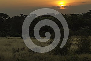 Sunset at Tsavo west National park landscape Kenya Africa