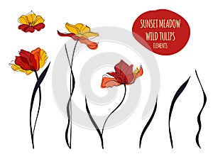 Sunset tulips illustration in the scandinavian style