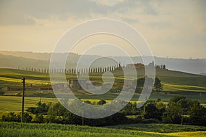 Sunset in tuscany, villa with cypress avenue in the distance