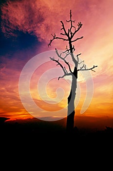 Sunset in twight light