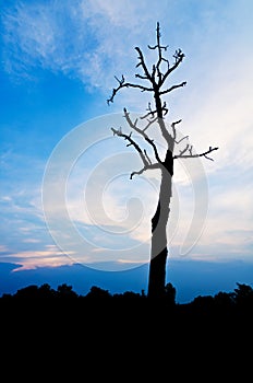 Sunset in twight light