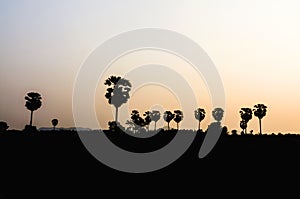 Sunset in twight light