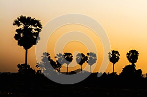 Sunset in twight light