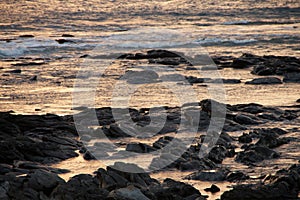 sunset with twilight light reflected in the sea with a golden color on the beach with exposed rocks