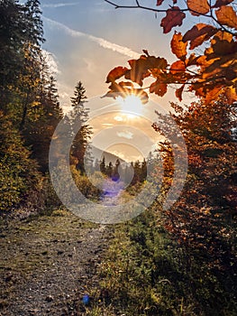 Sunset under red foliage in the Valley south of Hintersee