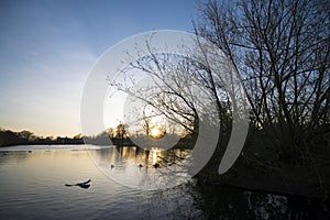 Sunset Valentines park pond