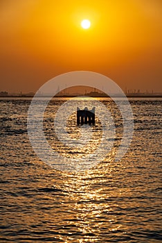 Sunset view of Bahrain Beach and Sea