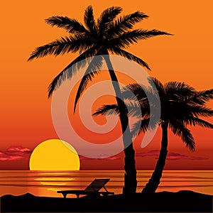 Sunset view in beach with palm tree silhouette