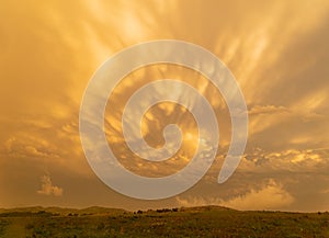 Sunset view of beautiful clouds and many bison walking in Wichita Mountains National Wildlife Refuge