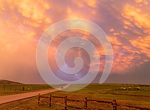 Sunset view of beautiful clouds and many bison walking in Wichita Mountains National Wildlife Refuge